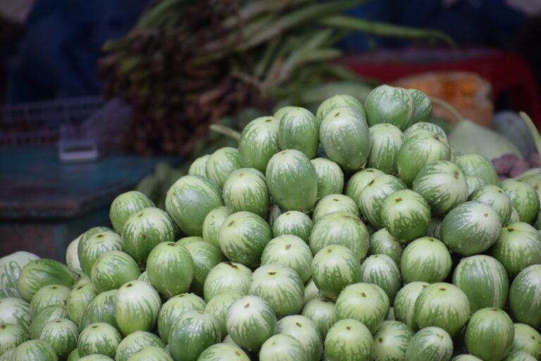 Photo Ghidul complet al alimentației vegane și vegetariane