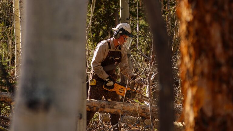 Photo Protective gear