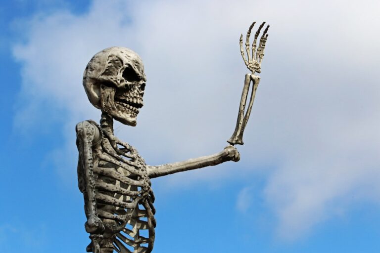 Photo strengthen bones