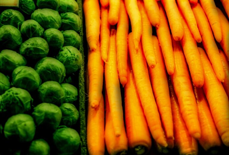 Photo proteine vegetale