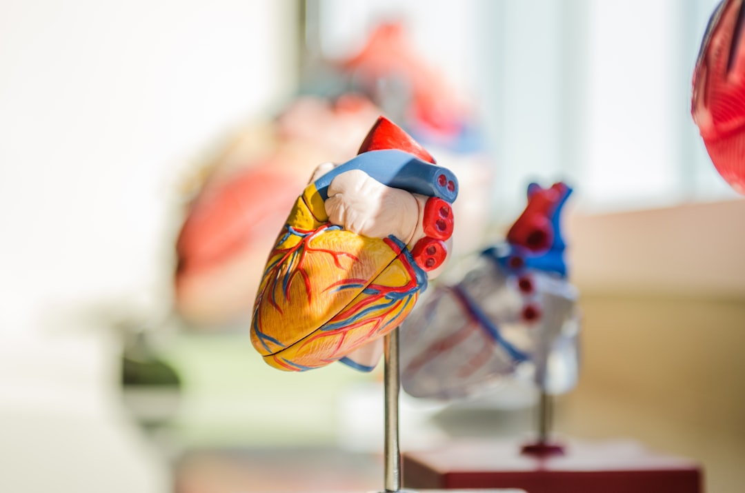 Photo cardiovascular health