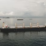Photo Bulk