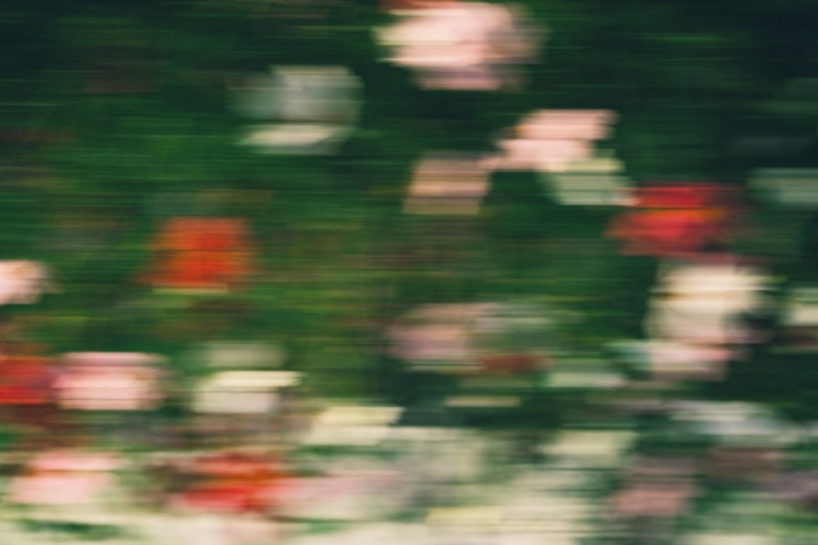 Photo movement